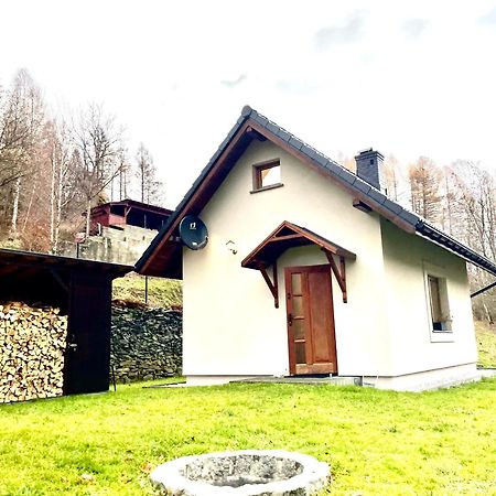 Willa Hoya Hoya Międzybrodzie Bialskie Zewnętrze zdjęcie